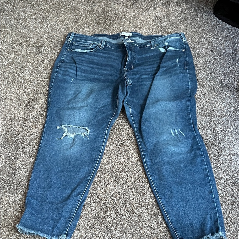 Lane Bryant Distressed Ankle Jeans - Blue